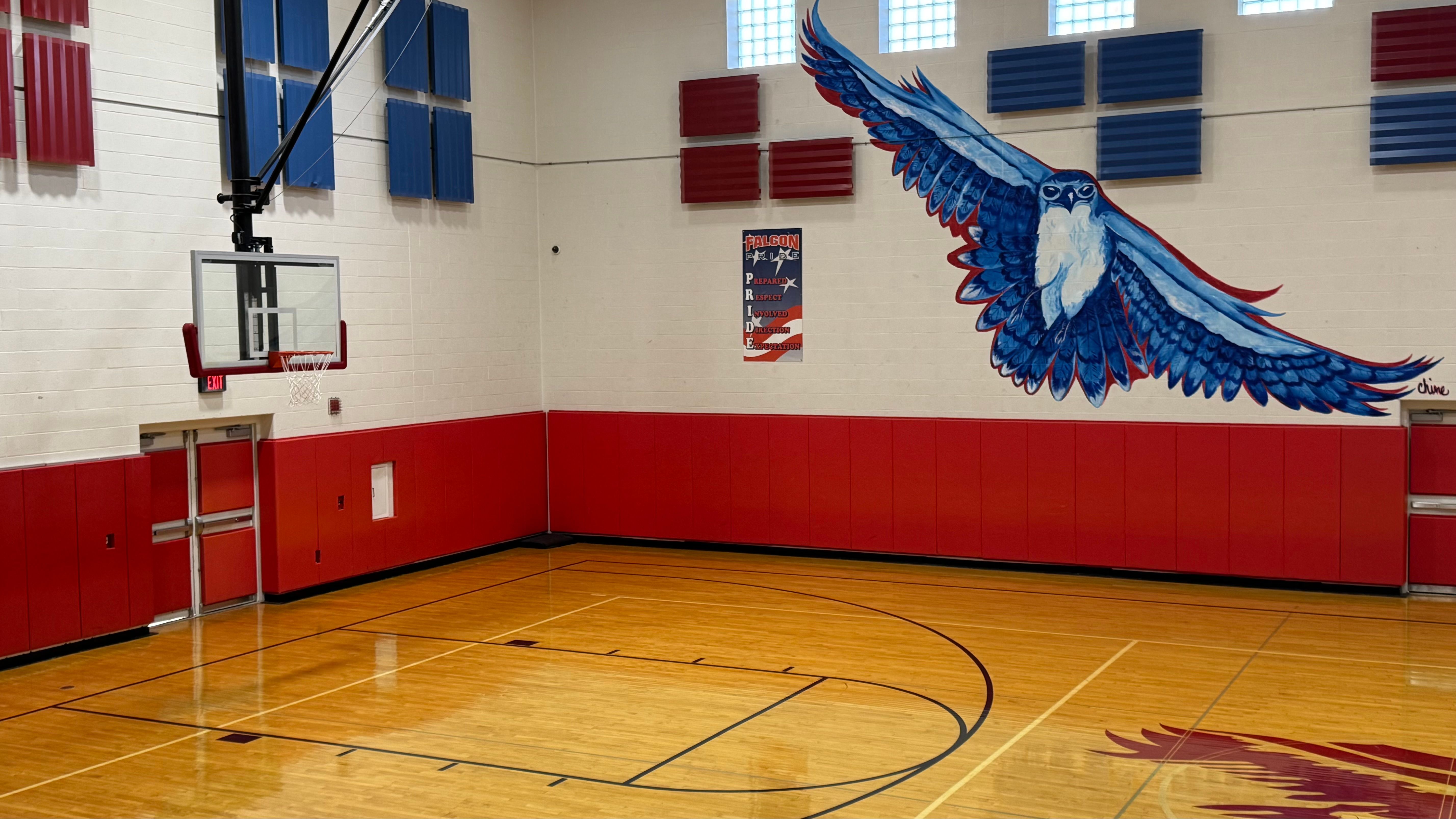 AMS Aux Gym Falcon Painting
